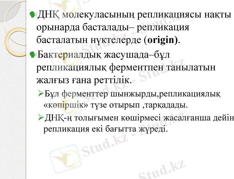 Slide 7