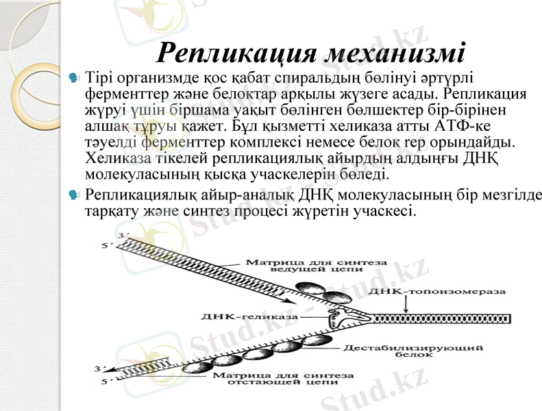 Slide 8