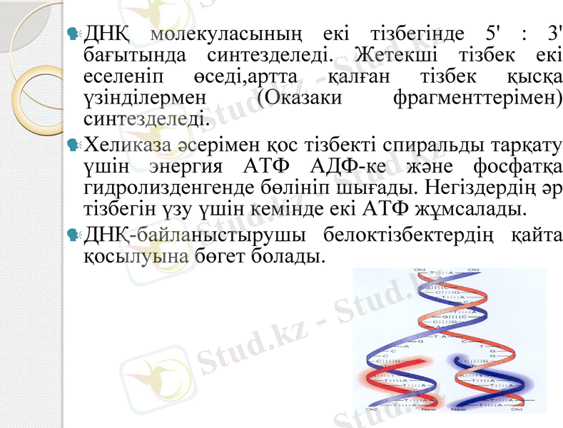 Slide 9