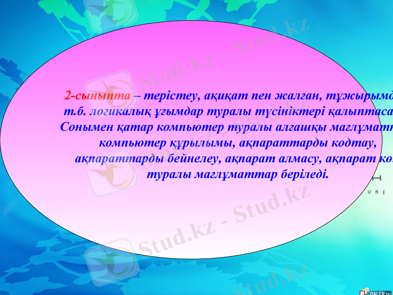 Slide 6