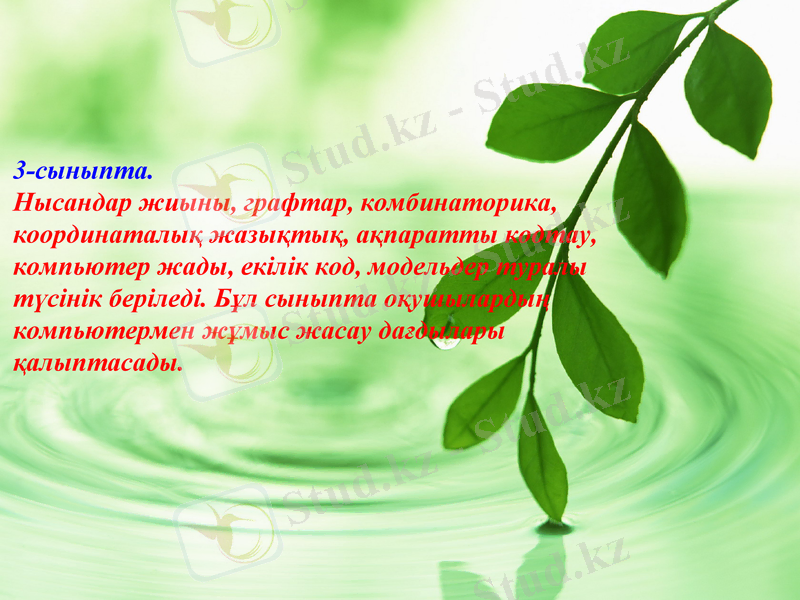 Slide 7
