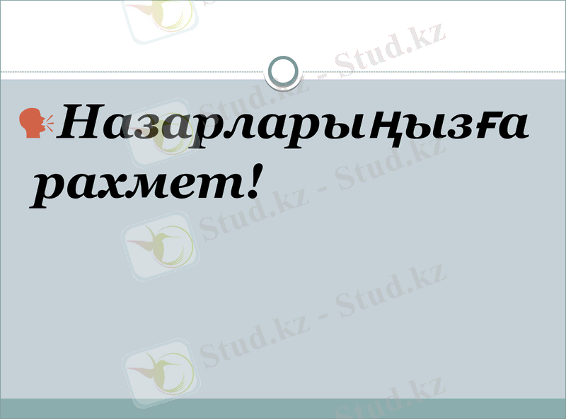 Slide 11