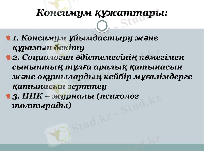 Slide 8