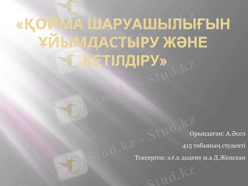 Slide 1