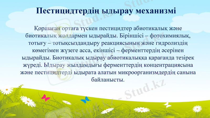 Slide 10