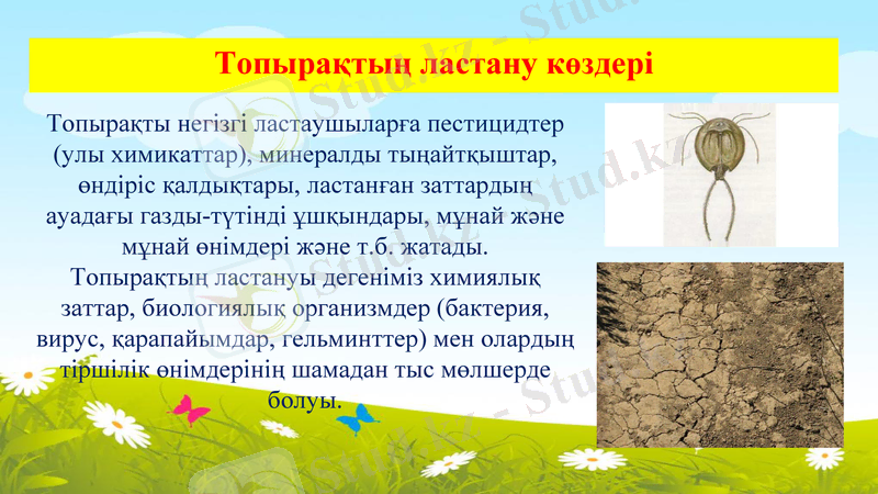 Slide 13