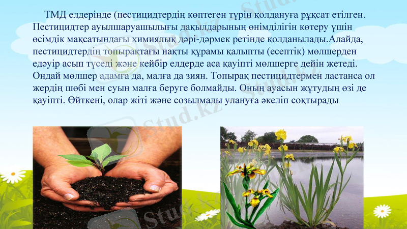 Slide 16