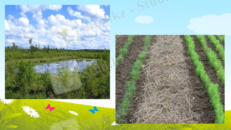 Slide 17