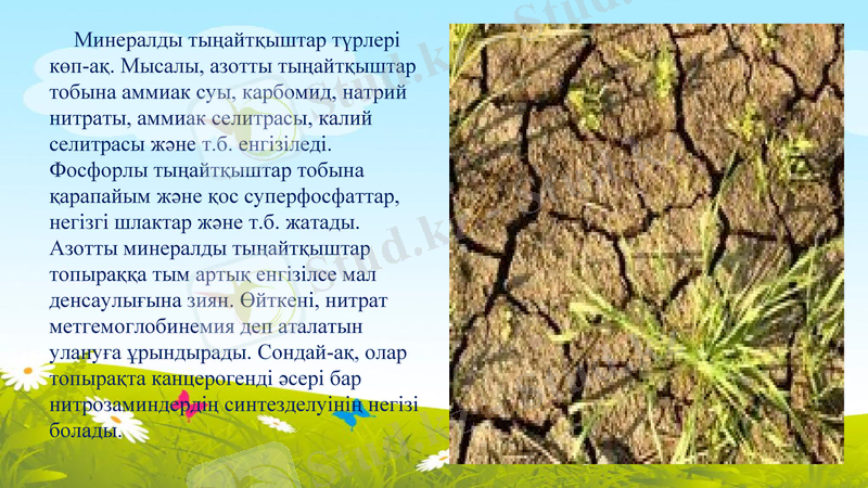 Slide 19