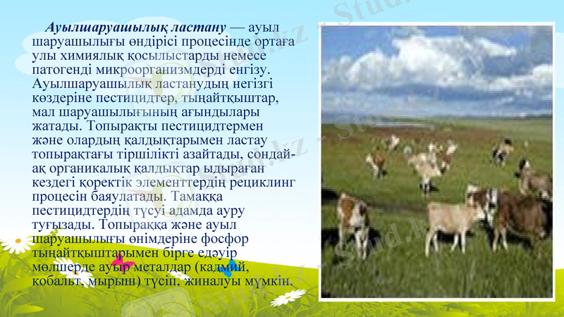 Slide 21