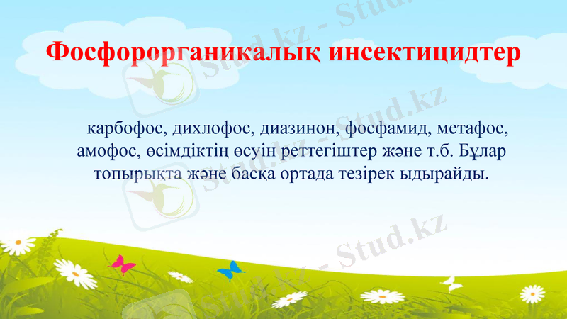 Slide 6