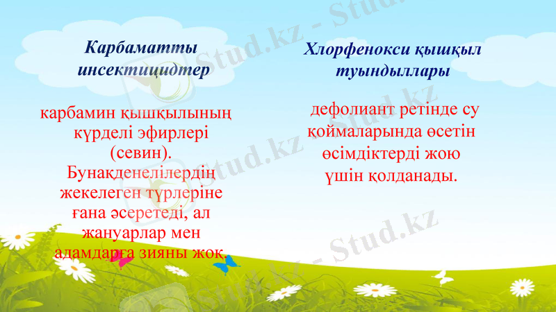 Slide 7