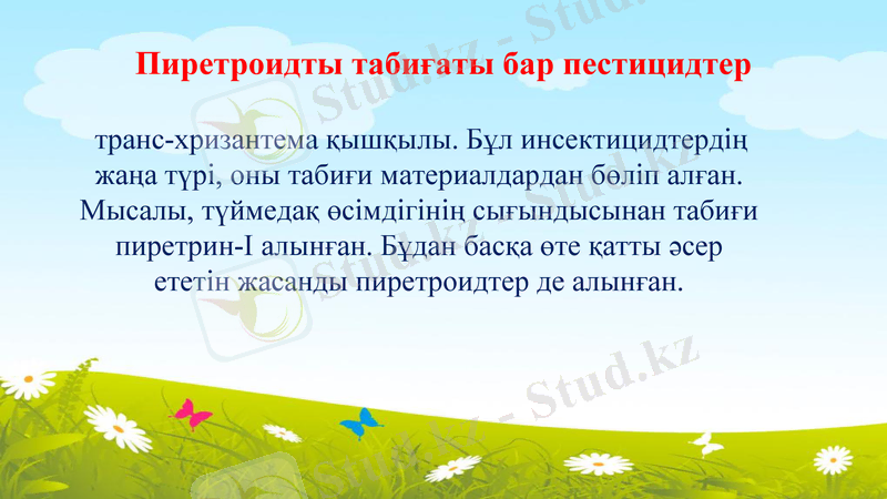 Slide 8