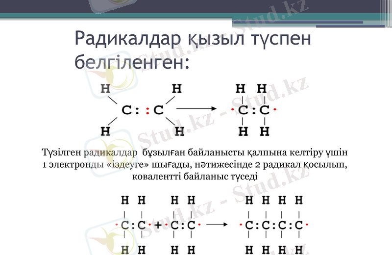 Slide 19