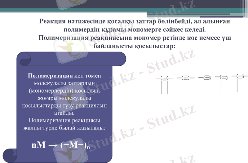 Slide 8