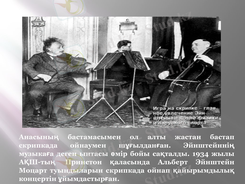 Slide 6