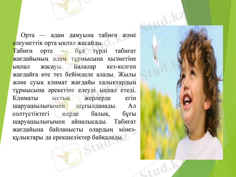 Slide 11