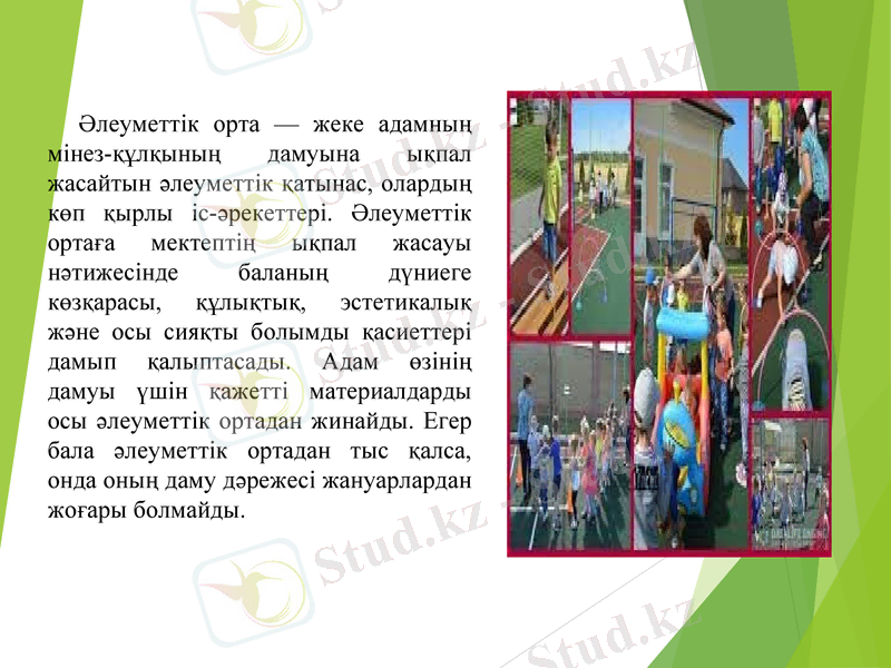 Slide 12