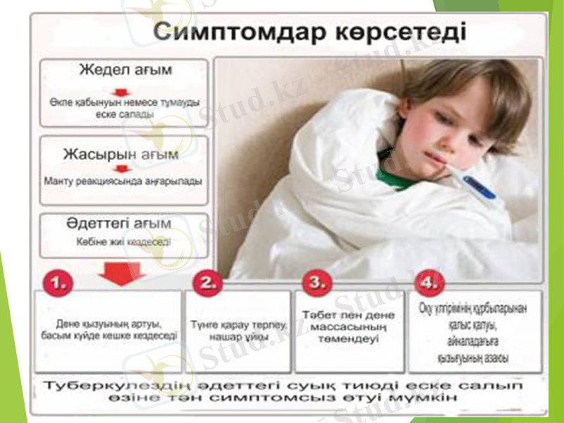 Slide 15