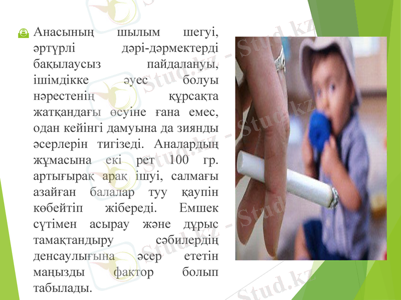 Slide 6