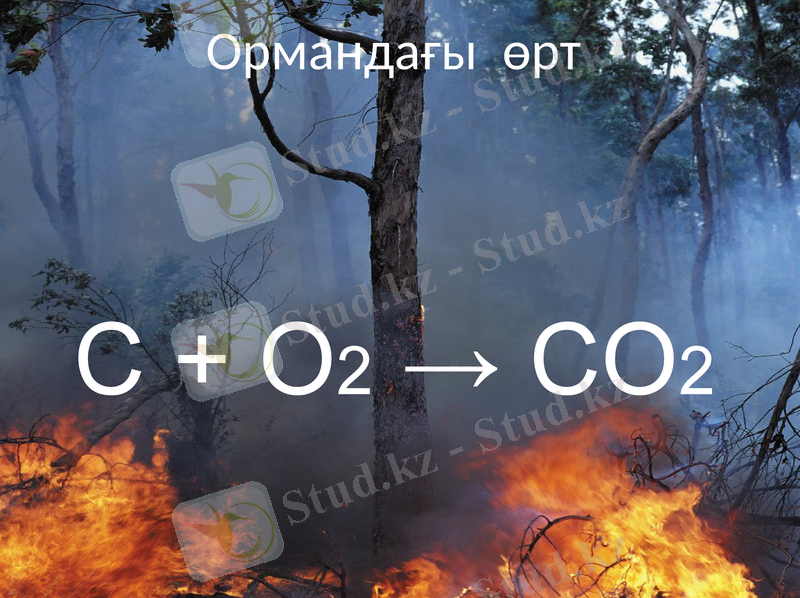 Slide 11