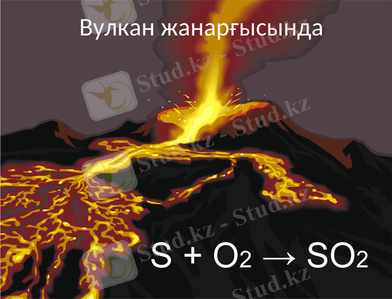 Slide 13