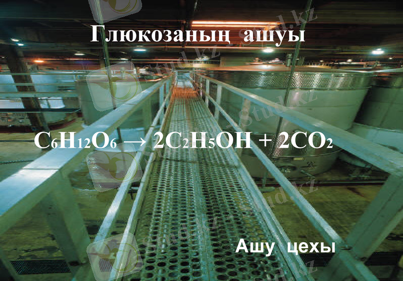Slide 14