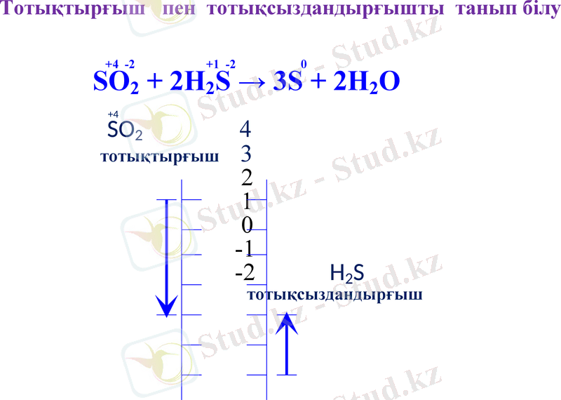 Slide 8