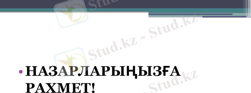 Slide 12