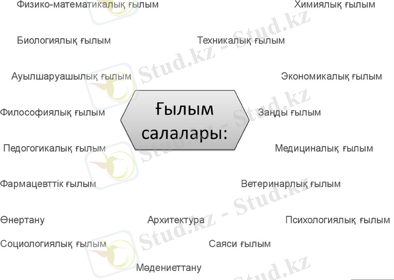 Slide 11