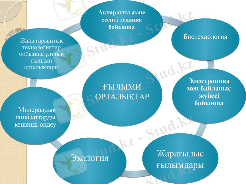 Slide 12