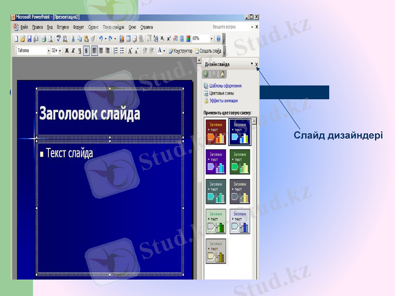 Slide 12