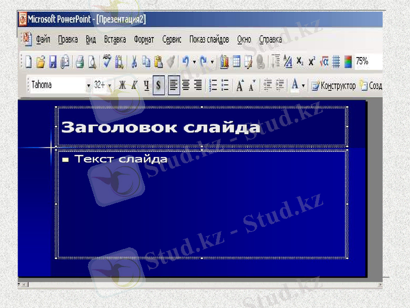 Slide 5