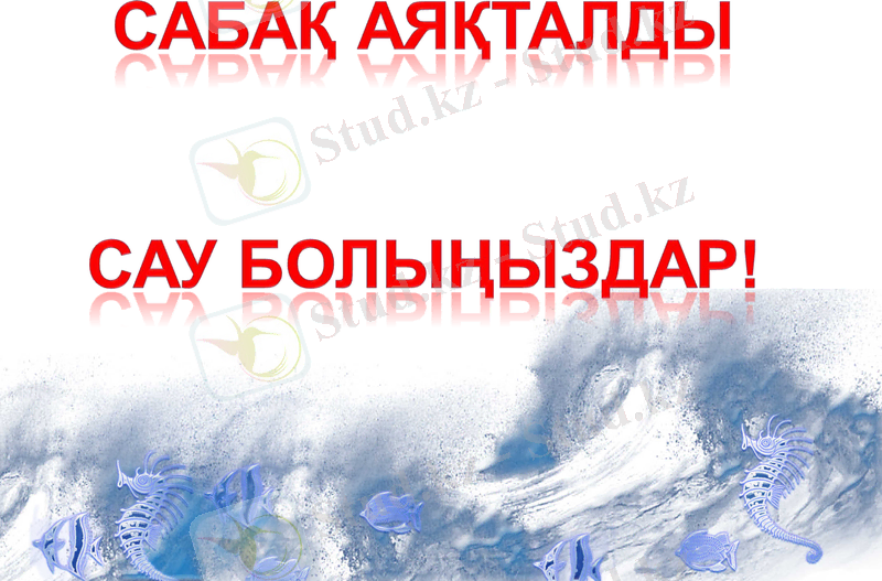 Slide 10