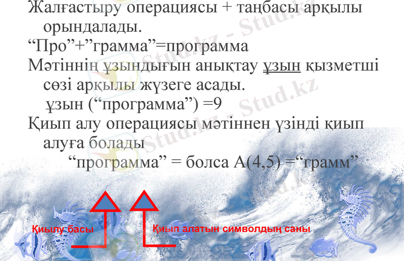 Slide 3