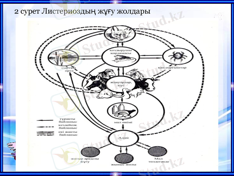 Slide 9