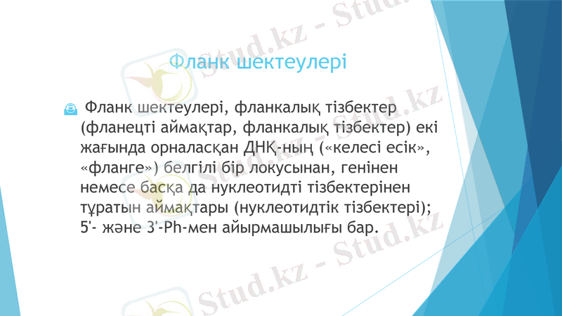 Slide 11