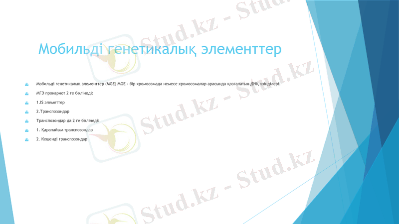 Slide 12