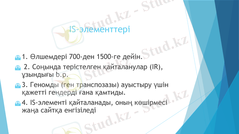 Slide 13