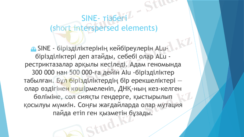 Slide 7
