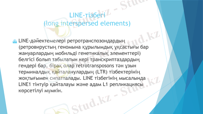 Slide 9