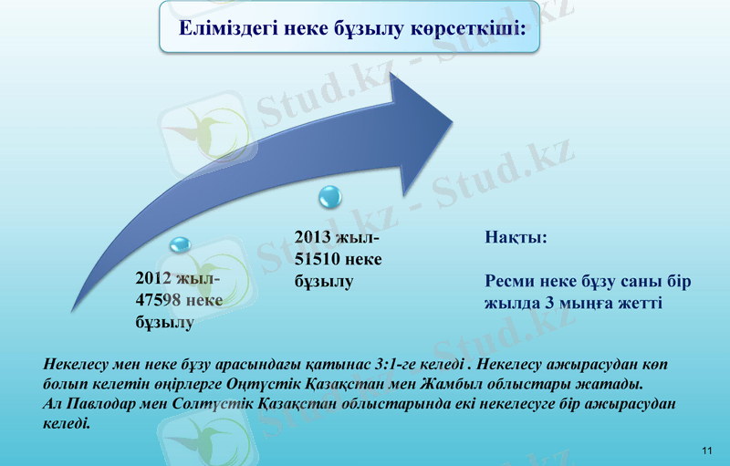 Slide 11