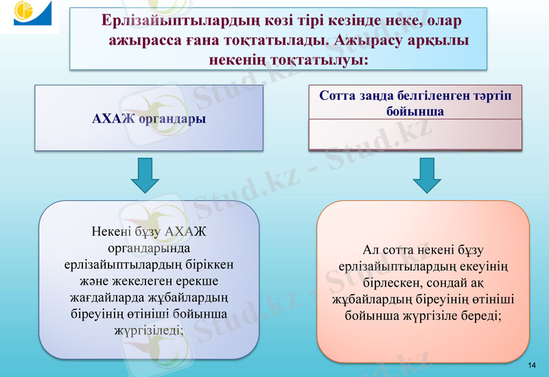 Slide 9