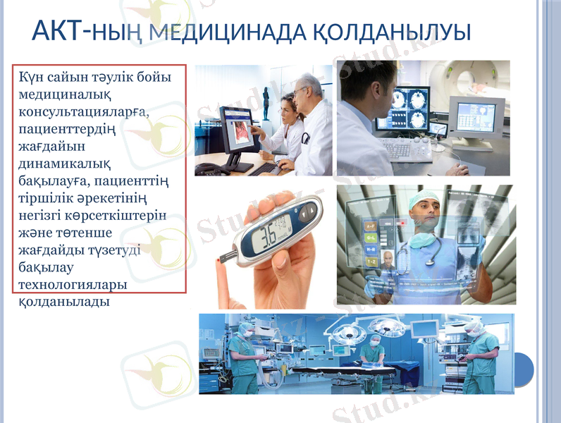 Slide 6