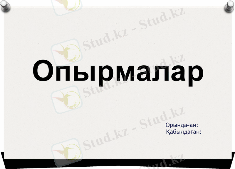 Slide 1
