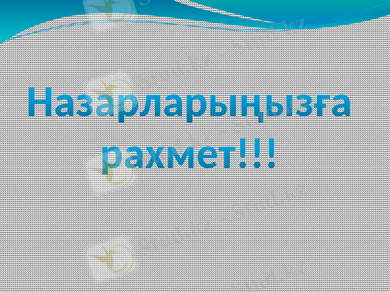 Slide 9