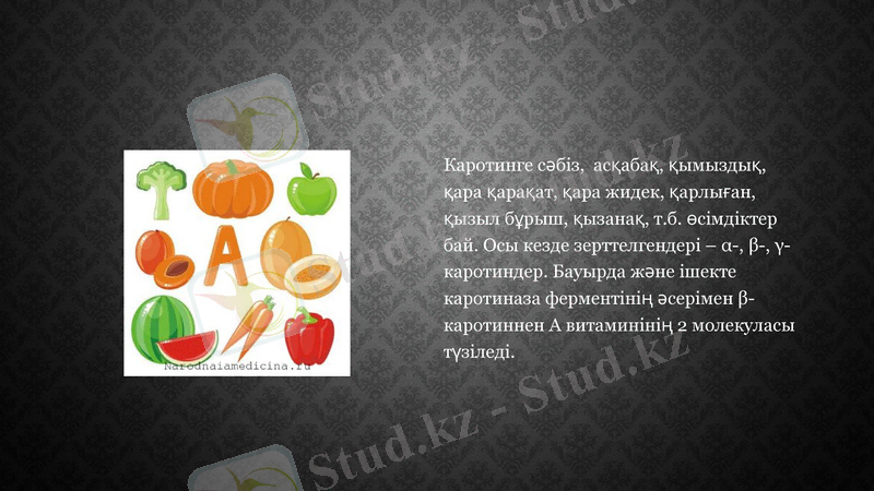 Slide 11