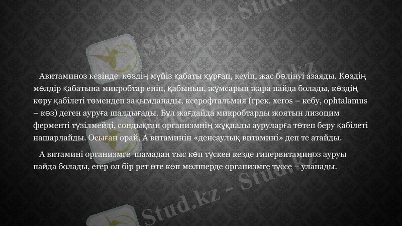Slide 13