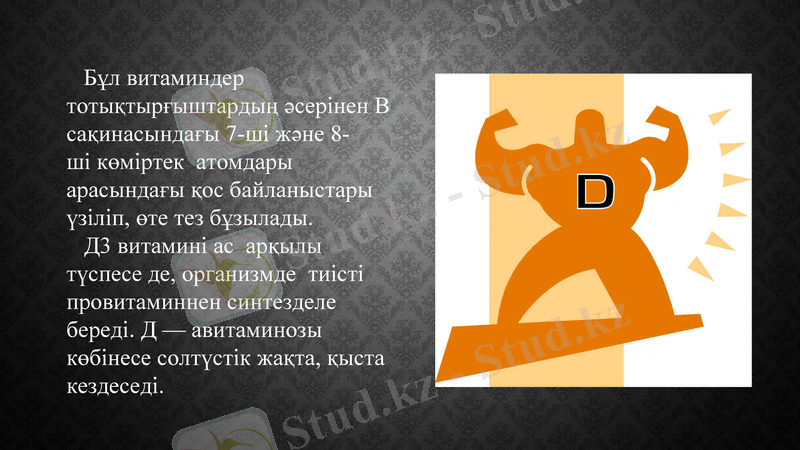 Slide 16