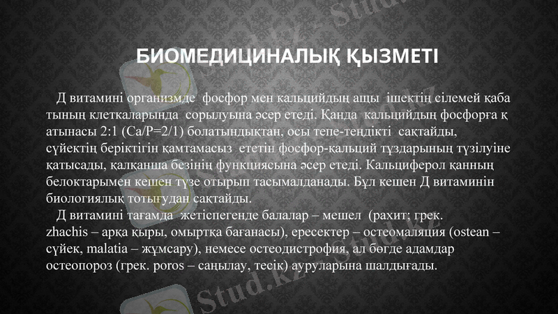 Slide 17
